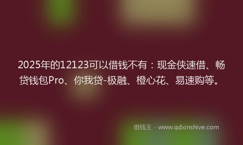 2025年的12123可以借钱不有：现金侠速借、畅贷钱包Pro、你我贷-极融、橙心花、易速购等。