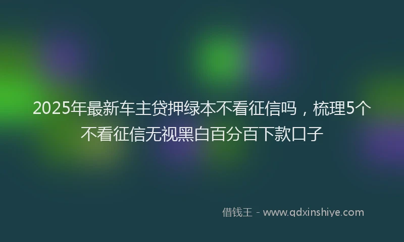 2025年最新车主贷押绿本不看征信吗，梳理5个不看征信无视黑白百分百下款口子