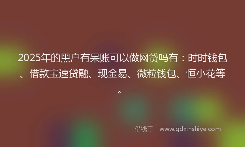 2025年的黑户有呆账可以做网贷吗有：时时钱包、借款宝速贷融、现金易、微粒钱包、恒小花等。