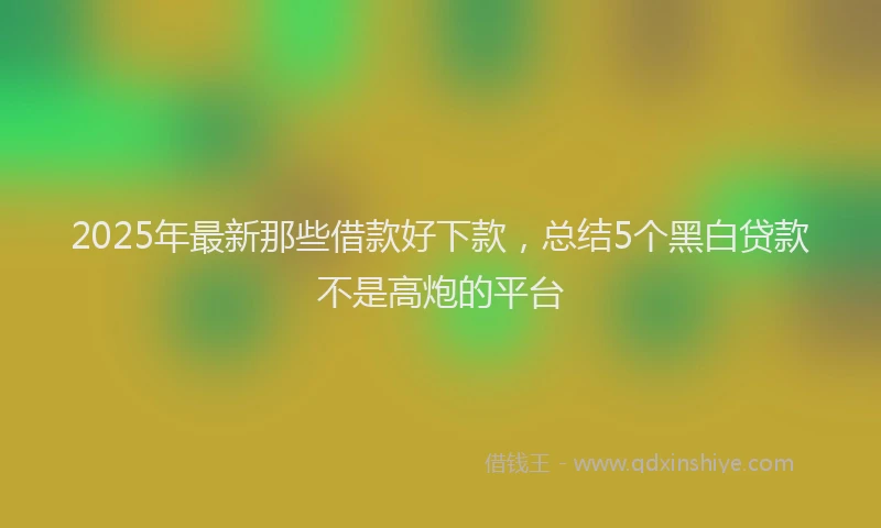 2025年最新那些借款好下款，总结5个黑白贷款不是高炮的平台