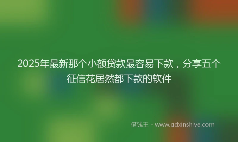 2025年最新那个小额贷款最容易下款，分享五个征信花居然都下款的软件