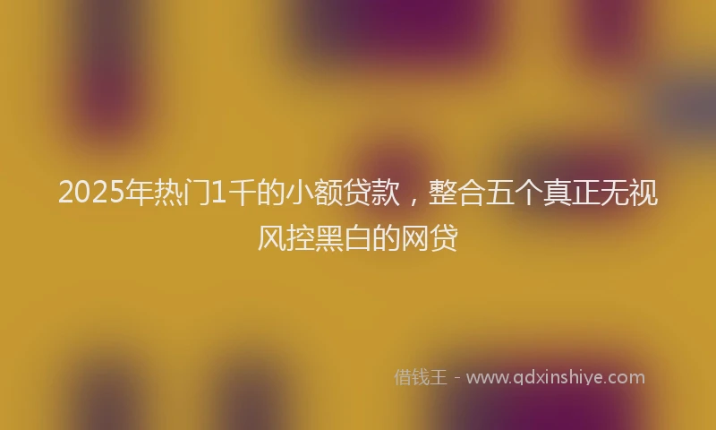 2025年热门1千的小额贷款，整合五个真正无视风控黑白的网贷