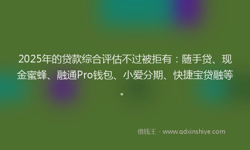 2025年的贷款综合评估不过被拒有：随手贷、现金蜜蜂、融通Pro钱包、小爱分期、快捷宝贷融等。
