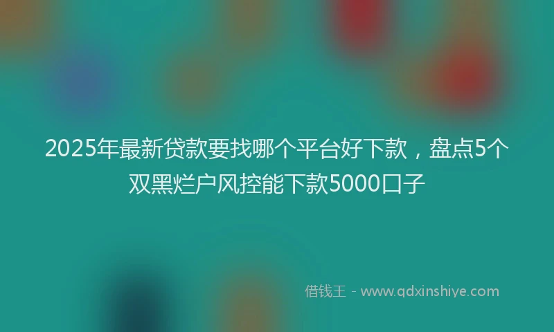2025年最新贷款要找哪个平台好下款，盘点5个双黑烂户风控能下款5000口子