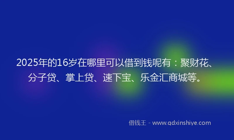 2025年的16岁在哪里可以借到钱呢有：聚财花、分子贷、掌上贷、速下宝、乐金汇商城等。