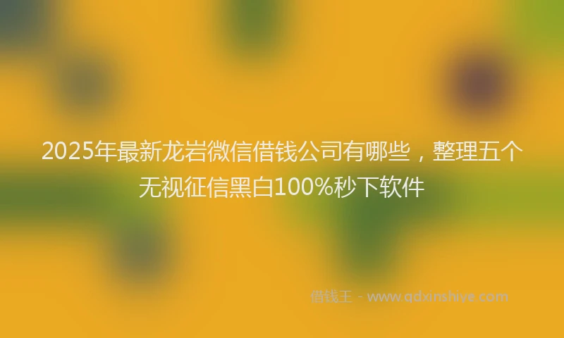 2025年最新龙岩微信借钱公司有哪些，整理五个无视征信黑白100%秒下软件
