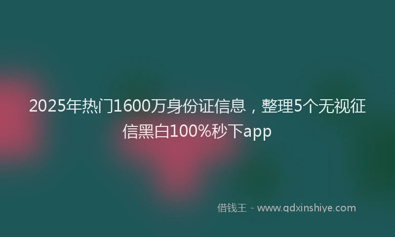 2025年热门1600万身份证信息，整理5个无视征信黑白100%秒下app