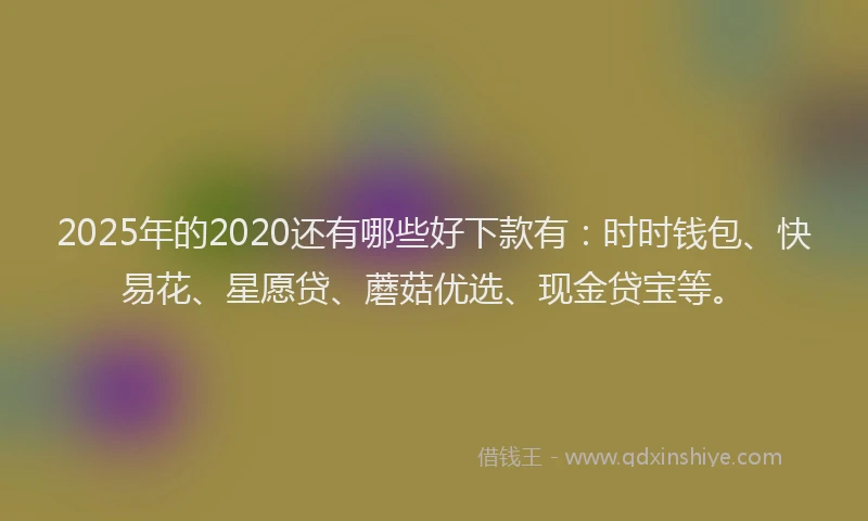 2025年的2020还有哪些好下款有：时时钱包、快易花、星愿贷、蘑菇优选、现金贷宝等。