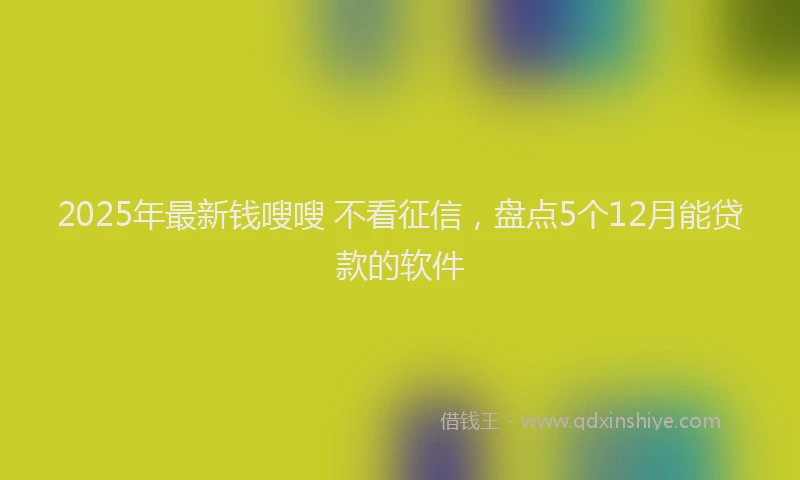 2025年最新钱嗖嗖 不看征信，盘点5个12月能贷款的软件