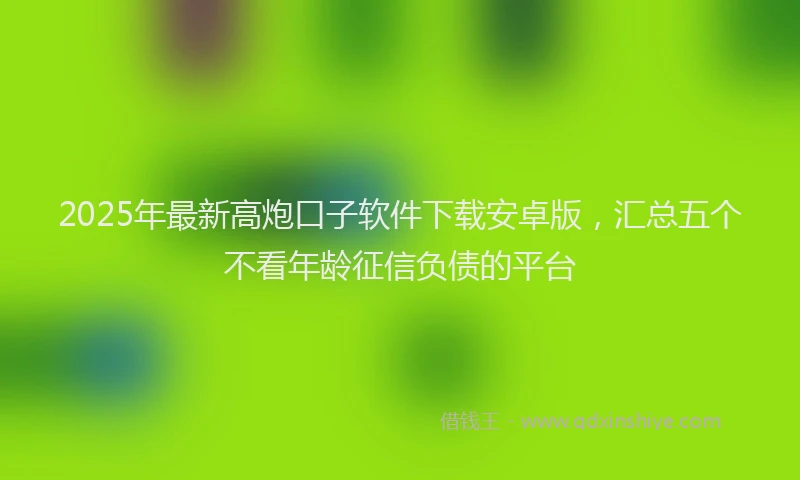 2025年最新高炮口子软件下载安卓版，汇总五个不看年龄征信负债的平台