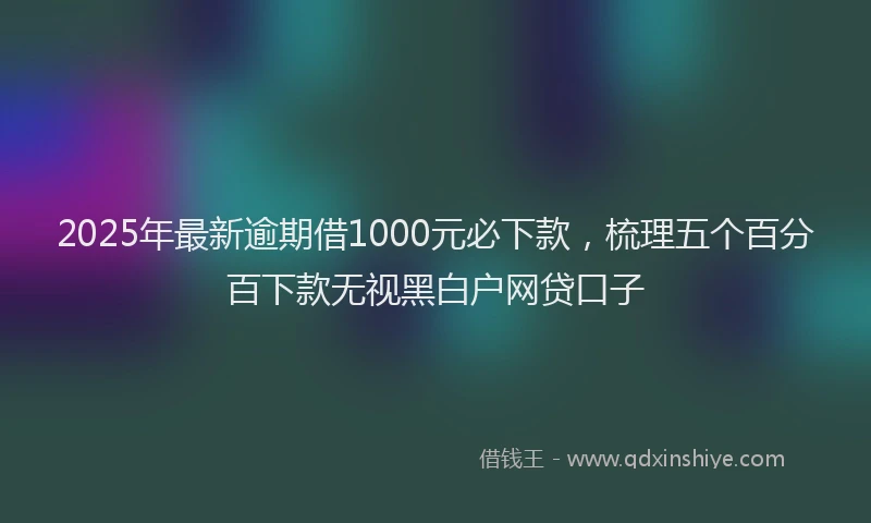 2025年最新逾期借1000元必下款，梳理五个百分百下款无视黑白户网贷口子