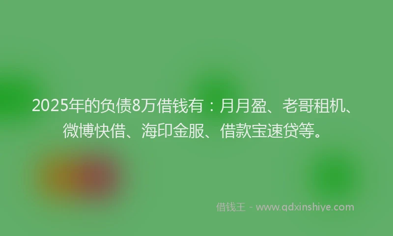 2025年的负债8万借钱有：月月盈、老哥租机、微博快借、海印金服、借款宝速贷等。