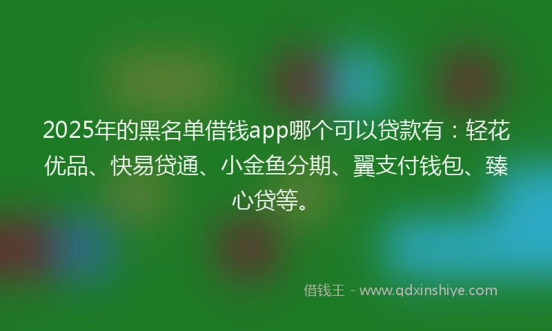 2025年的黑名单借钱app哪个可以贷款有：轻花优品、快易贷通、小金鱼分期、翼支付钱包、臻心贷等。