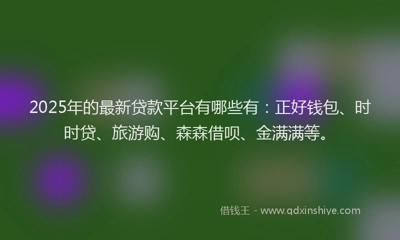 2025年的最新贷款平台有哪些有：正好钱包、时时贷、旅游购、森森借呗、金满满等。
