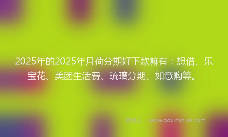 2025年的2025年月荷分期好下款嘛有：想借、乐宝花、美团生活费、琉璃分期、如意购等。
