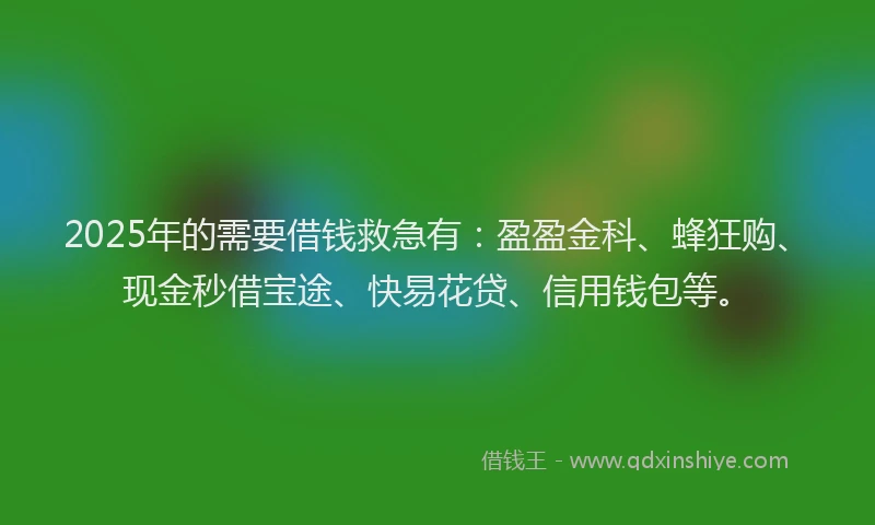 2025年的需要借钱救急有：盈盈金科、蜂狂购、现金秒借宝途、快易花贷、信用钱包等。