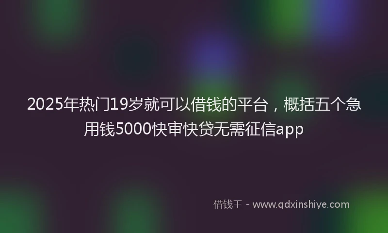 2025年热门19岁就可以借钱的平台，概括五个急用钱5000快审快贷无需征信app