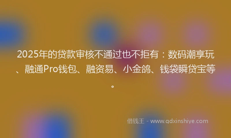 2025年的贷款审核不通过也不拒有：数码潮享玩、融通Pro钱包、融资易、小金鸽、钱袋瞬贷宝等。