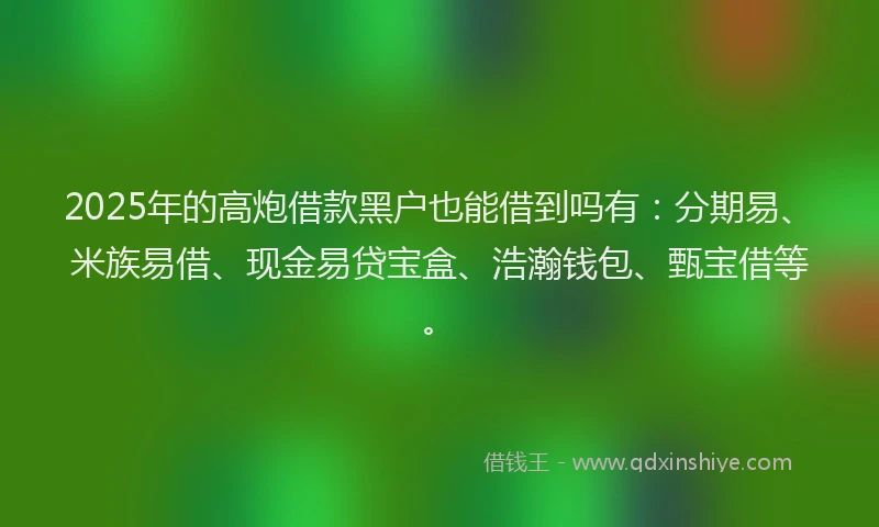 2025年的高炮借款黑户也能借到吗有：分期易、米族易借、现金易贷宝盒、浩瀚钱包、甄宝借等。
