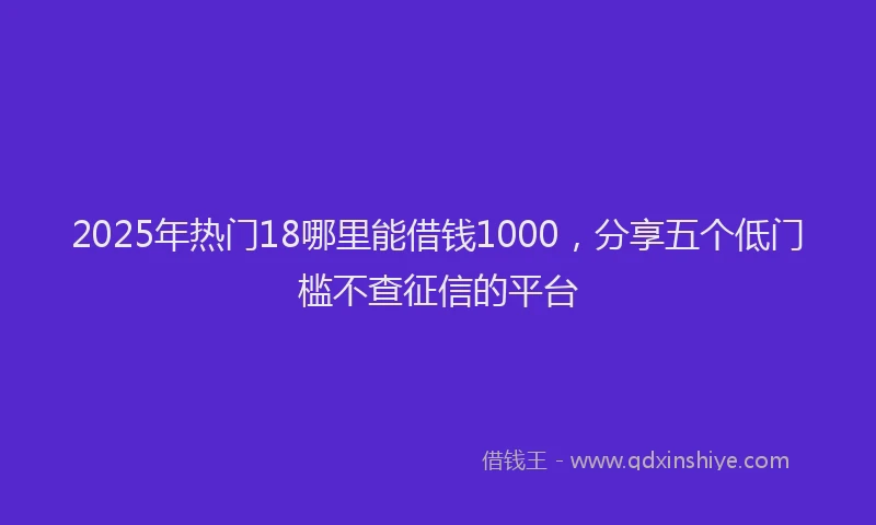 2025年热门18哪里能借钱1000，分享五个低门槛不查征信的平台