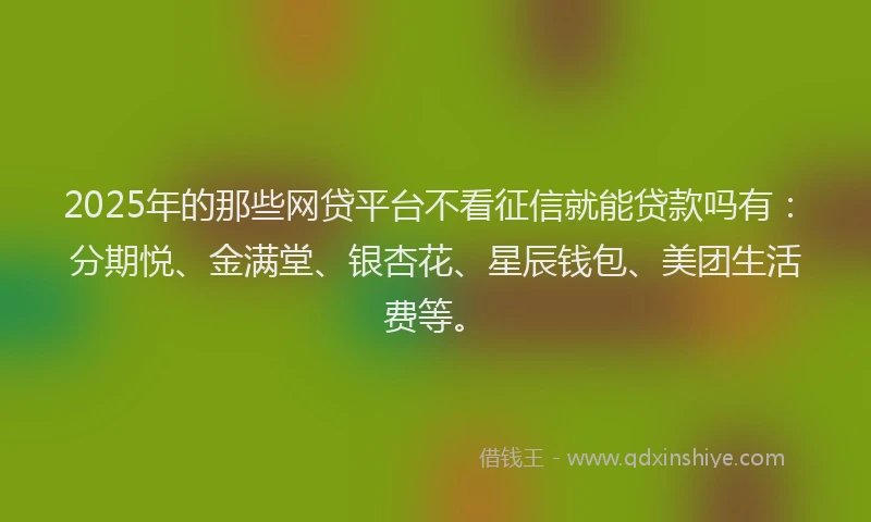 2025年的那些网贷平台不看征信就能贷款吗有：分期悦、金满堂、银杏花、星辰钱包、美团生活费等。