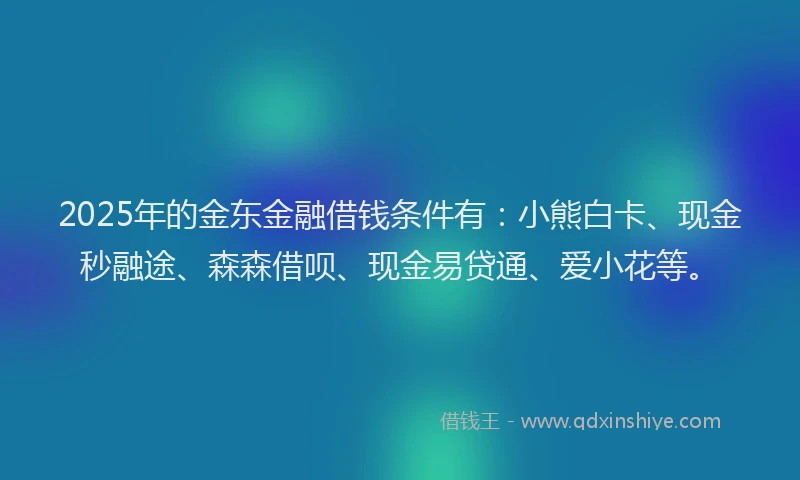 2025年的金东金融借钱条件有：小熊白卡、现金秒融途、森森借呗、现金易贷通、爱小花等。