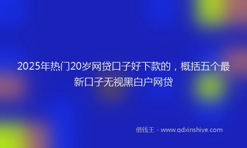 2025年热门20岁网贷口子好下款的，概括五个最新口子无视黑白户网贷