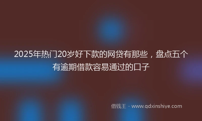 2025年热门20岁好下款的网贷有那些，盘点五个有逾期借款容易通过的口子