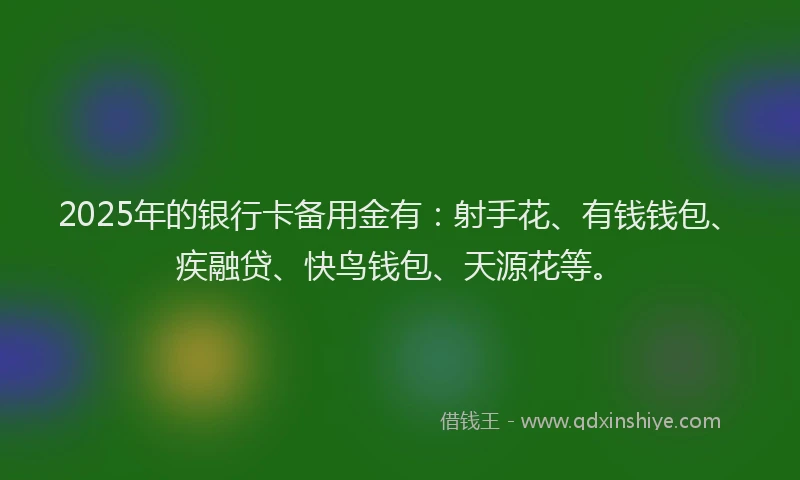 2025年的银行卡备用金有：射手花、有钱钱包、疾融贷、快鸟钱包、天源花等。