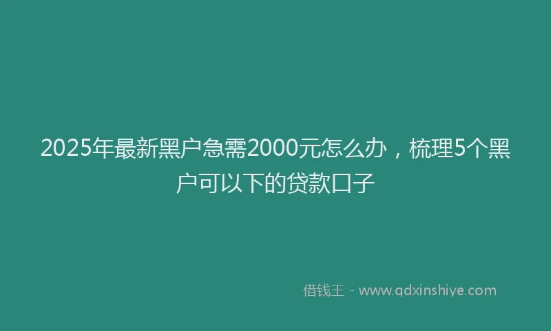 2025年最新黑户急需2000元怎么办，梳理5个黑户可以下的贷款口子