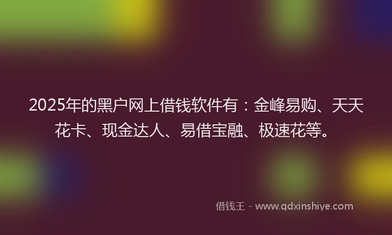 2025年的黑户网上借钱软件有：金峰易购、天天花卡、现金达人、易借宝融、极速花等。