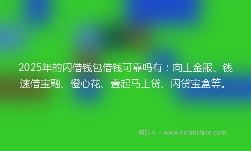 2025年的闪借钱包借钱可靠吗有：向上金服、钱速借宝融、橙心花、壹起马上贷、闪贷宝盒等。