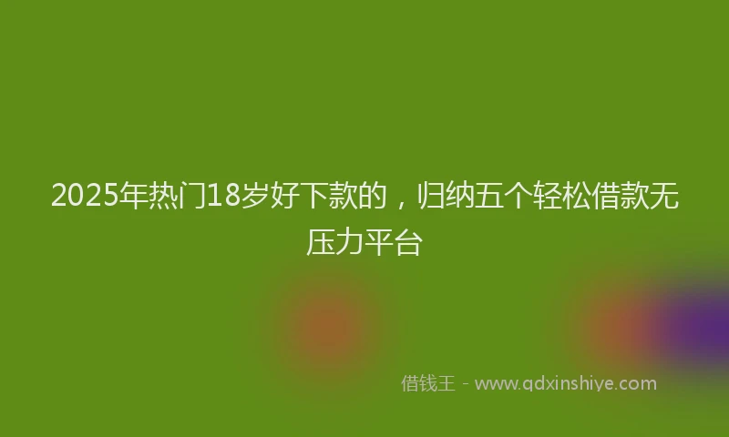 2025年热门18岁好下款的，归纳五个轻松借款无压力平台