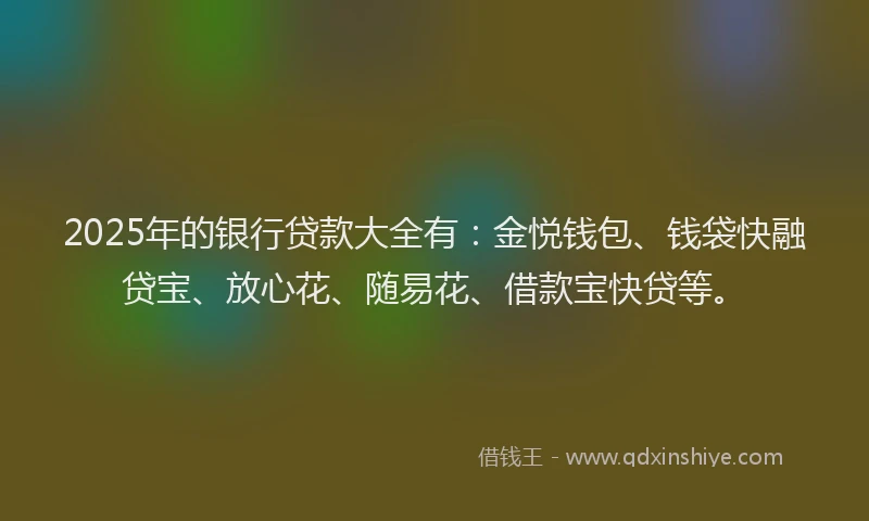 2025年的银行贷款大全有：金悦钱包、钱袋快融贷宝、放心花、随易花、借款宝快贷等。