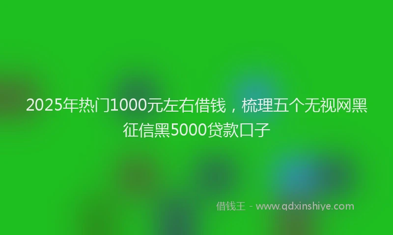 2025年热门1000元左右借钱，梳理五个无视网黑征信黑5000贷款口子