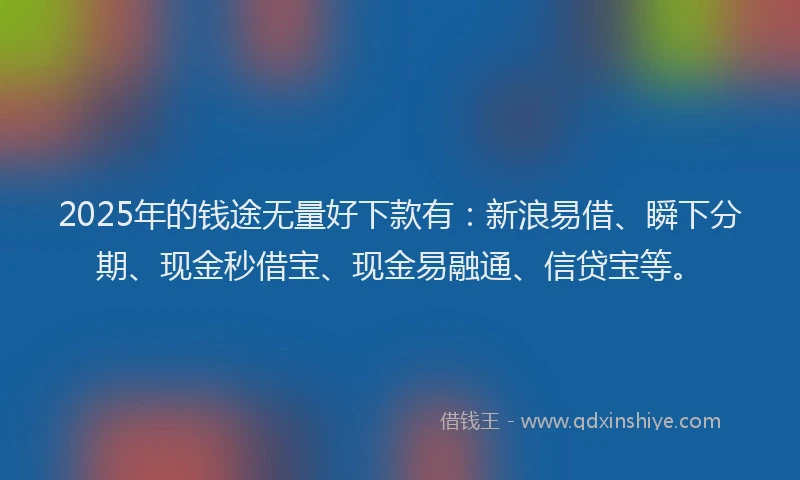 2025年的钱途无量好下款有：新浪易借、瞬下分期、现金秒借宝、现金易融通、信贷宝等。