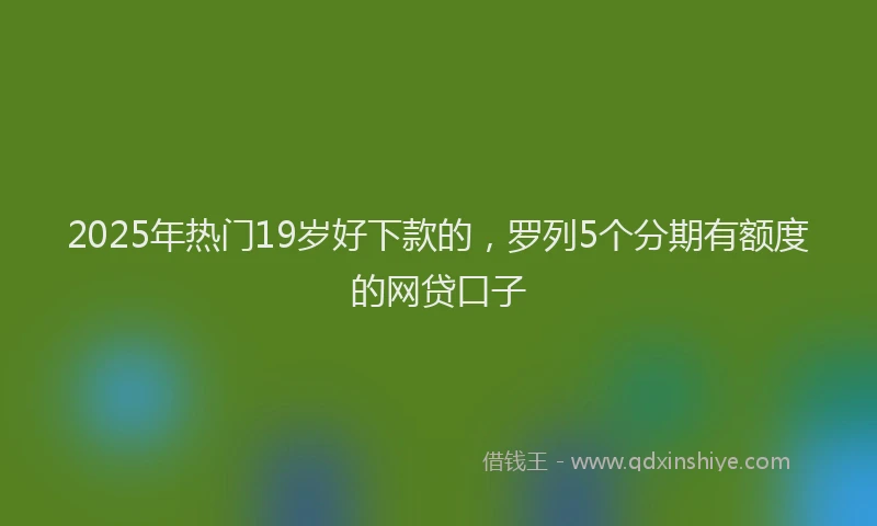 2025年热门19岁好下款的，罗列5个分期有额度的网贷口子