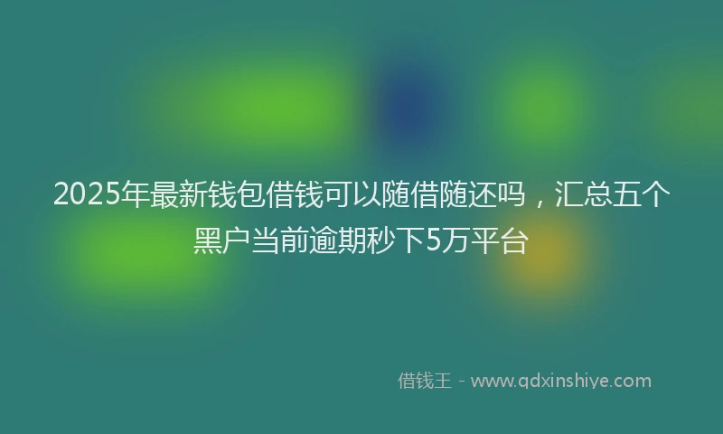 2025年最新钱包借钱可以随借随还吗，汇总五个黑户当前逾期秒下5万平台