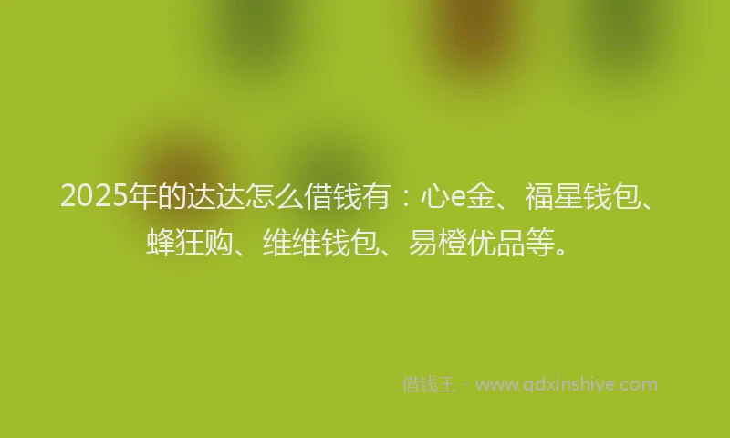 2025年的达达怎么借钱有：心e金、福星钱包、蜂狂购、维维钱包、易橙优品等。