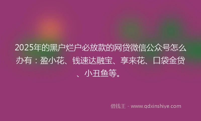 2025年的黑户烂户必放款的网贷微信公众号怎么办有：盈小花、钱速达融宝、享来花、口袋金贷、小丑鱼等。