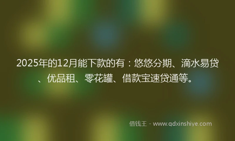 2025年的12月能下款的有：悠悠分期、滴水易贷、优品租、零花罐、借款宝速贷通等。