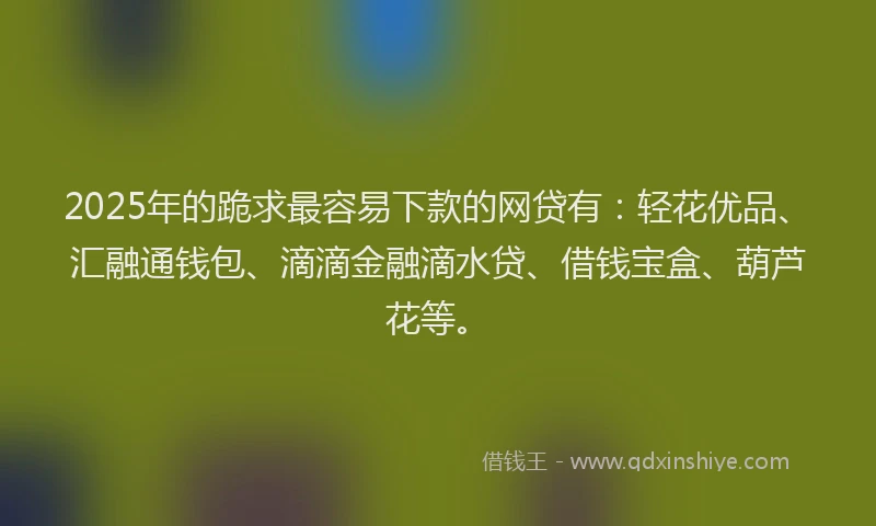 2025年的跪求最容易下款的网贷有：轻花优品、汇融通钱包、滴滴金融滴水贷、借钱宝盒、葫芦花等。