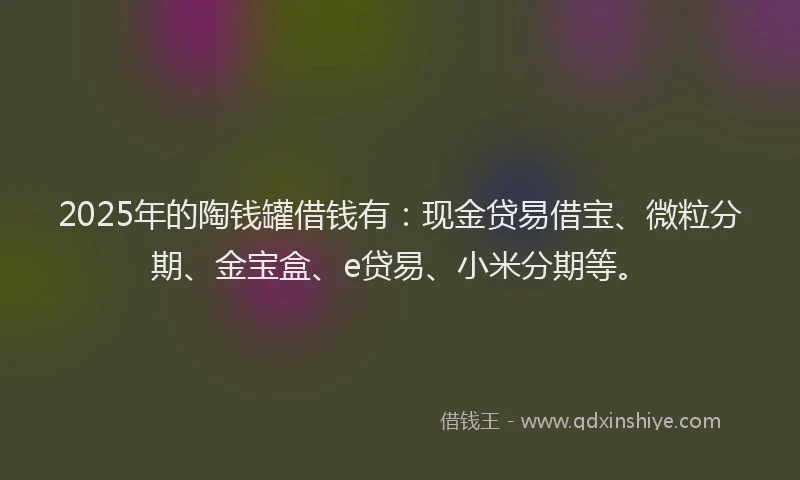 2025年的陶钱罐借钱有：现金贷易借宝、微粒分期、金宝盒、e贷易、小米分期等。
