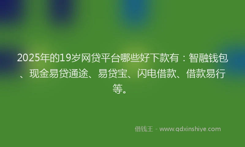 2025年的19岁网贷平台哪些好下款有：智融钱包、现金易贷通途、易贷宝、闪电借款、借款易行等。