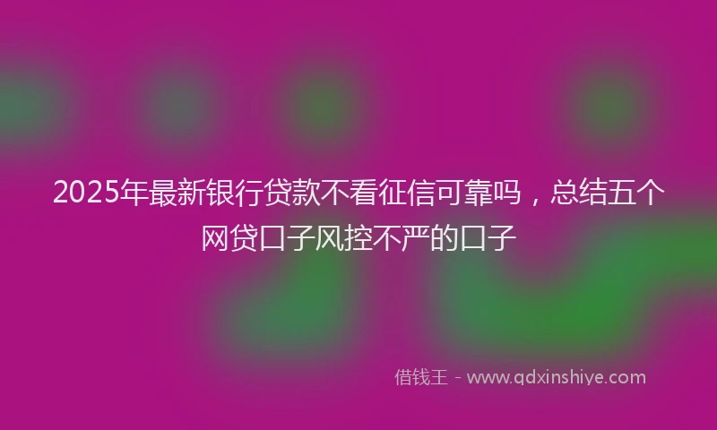 2025年最新银行贷款不看征信可靠吗，总结五个网贷口子风控不严的口子