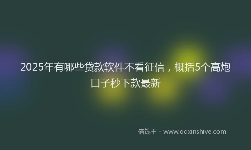 2025年有哪些贷款软件不看征信，概括5个高炮口子秒下款最新