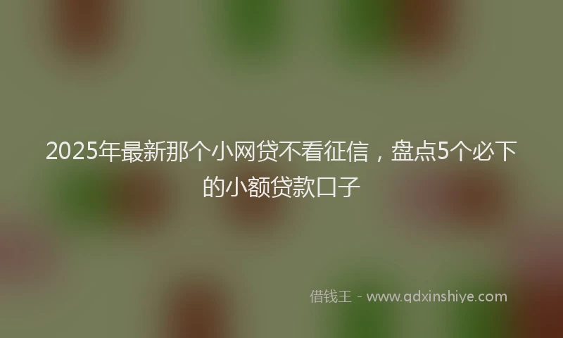 2025年最新那个小网贷不看征信，盘点5个必下的小额贷款口子