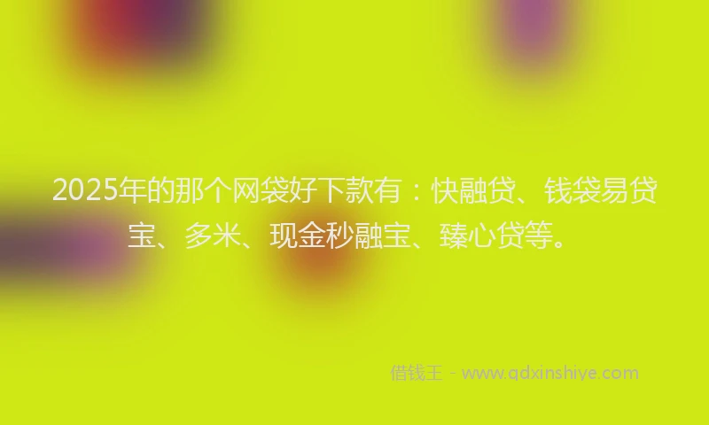 2025年的那个网袋好下款有：快融贷、钱袋易贷宝、多米、现金秒融宝、臻心贷等。