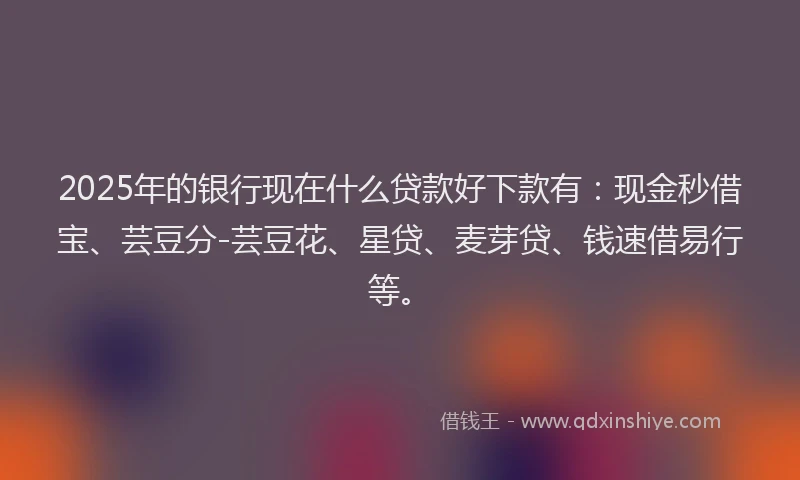 2025年的银行现在什么贷款好下款有：现金秒借宝、芸豆分-芸豆花、星贷、麦芽贷、钱速借易行等。
