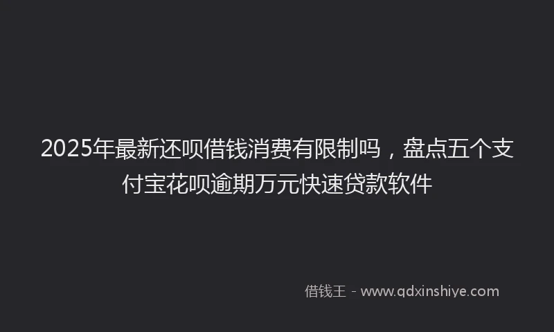 2025年最新还呗借钱消费有限制吗，盘点五个支付宝花呗逾期万元快速贷款软件